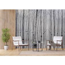 Een fotobehang van berkenbomen met een weerspiegeling in een bos, ideaal voor het creėren van een serene sfeer in een bedrijfsruimte.