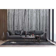 Een fotobehang van berkenbomen met een weerspiegeling in een bos, ideaal voor het creėren van een warme en natuurlijke sfeer in een huiskamer.