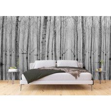Een fotobehang van berkenbomen met een weerspiegeling in een bos, dat een rustgevende en organische sfeer creėert in een slaapkamer.