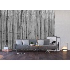 Een fotobehang van berkenbomen met een weerspiegeling in een bos, dat een rustige en natuurlijke sfeer toevoegt aan een huiskamer.