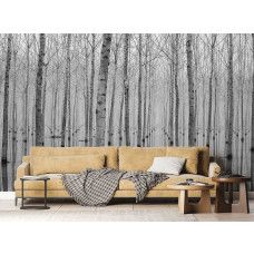 Een fotobehang van berkenbomen met een weerspiegeling in een bos, dat de woonkamer een kalme en verfijnde uitstraling geeft.