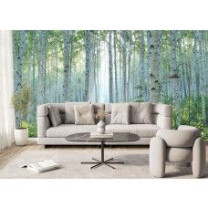 Fotobehang berkenbos met stralend zonlicht in een woonkamer, waarbij de groene bladeren en witte stammen voor een frisse blikvanger zorgen.