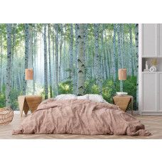 Fotobehang berkenbos met stralend zonlicht in een slaapkamer van een hotel, waar het zachte licht zorgt voor een kalme en ontspannen ambiance.