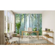 Fotobehang berkenbos met stralend zonlicht in een kantoor, waar de lichte bomen zorgen voor een frisse en inspirerende sfeer.