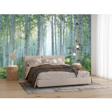 Fotobehang natuurgetrouw berkenbos met zonlicht in een slaapkamer, dat een serene en rustgevende uitstraling geeft.