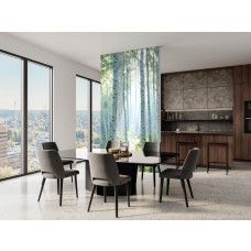 Fotobehang wit berkenbos met zonnestralen toegepast in een kantoor, dat rust en concentratie bevordert in de werkomgeving.