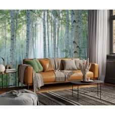 Fotobehang natuurlijk berkenbos met zonnestralen in een woonkamer, dat licht en diepte toevoegt aan het interieur.