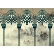 Fotobehang, Bomen Mist Kolommen