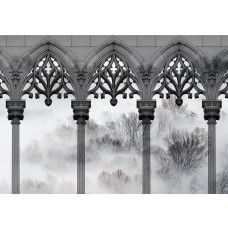 Fotobehang, Bomen Mistkolommen Zwart Wit