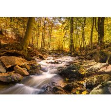 Fotobehang, Bosbeek in de herfst