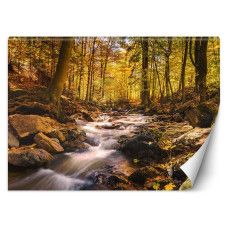 Fotobehang, Bosbeek in de herfst
