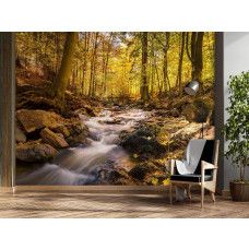 Fotobehang, Bosbeek in de herfst