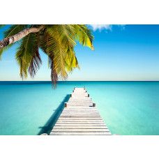Fotobehang, Brug palmbomen strand zee