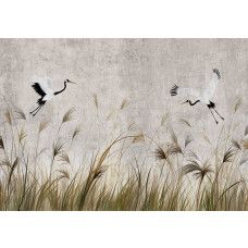 Een fotobehang van dansende kraanvogels boven het hoge gras in beton.