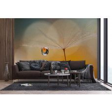 Een fotobehang van een druppel aan een paardenbloem in de ochtend in een woonkamer met vliesbehang.