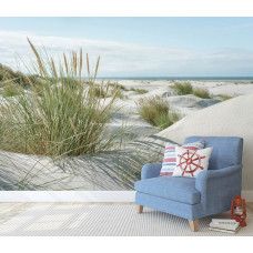 Fotobehang Duinen aan de Kust in een kantoor met natuurlijke duinlandschappen en open horizon in een kantoor.