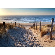 Fotobehang met een duinpad dat tussen zandheuvels doorloopt richting de zee met helmgras en houten palen.