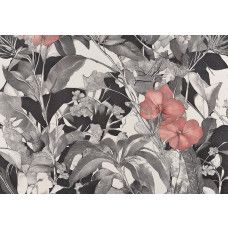 Fotobehang met fijne botanische kunst en roze bloemen op zwart-witte achtergrond.