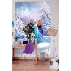Een fotobehang van Disney Frozen met een winterlandschap, perfect voor de kinderkamer.