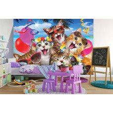 Een fotobehang met grappige katten in een selfie-thema, perfect voor een kinderkamer.