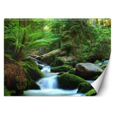 Fotobehang, Groen boslandschap