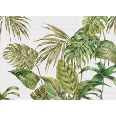 Een fotobehang met grote groene bladeren, waarbij weelderige tropische bladeren in diepe groentinten een levendige en natuurlijke uitstraling geven.