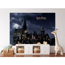 Een fotobehang met Harry Potter’s Zweinstein in de nacht in de kinderkamer, waarin de verlichte torens van de toverschool een magisch middelpunt vormen voor elke jonge tovenaarsfan.