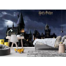 Een fotobehang met Harry Potter’s Zweinstein in de nacht, op vliesbehang in de kinderkamer, waar de betoverende lichten en donkere hemel een fantasierijke en avontuurlijke sfeer creëren.