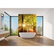 Fotobehang herfstbos met zonnestralen in een badkamer met natuurlijke kleuren en herfstbladeren.