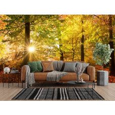 Fotobehang herfstbos met zonnestralen in een moderne woonkamer met rustgevend bos en zacht zonlicht.