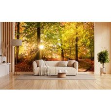 Fotobehang herfstbos met zonnestralen in een woonkamer met een kronkelend pad en vallende bladeren.