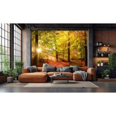 Fotobehang herfstbos met zonnestralen in een woonkamer met warme herfstkleuren en licht dat door de bomen schijnt.