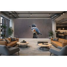 Fotobehang ijsvogel in de regen in een modern kantoor met een ontspannen bedrijfsruimte.