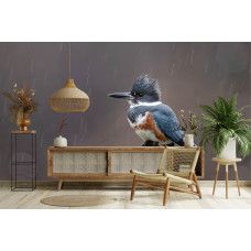 Fotobehang van een ijsvogel tijdens een regenbui in een sfeervolle woonkamer.