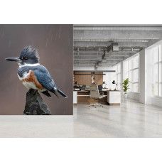 Fotobehang met een ijsvogel tijdens een regenbui in een inspirerend kantoor.