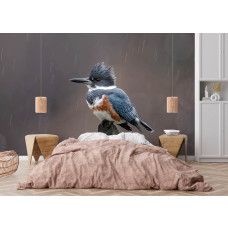 Fotobehang natuur met een kleurrijke ijsvogel in de regen in de slaapkamer.