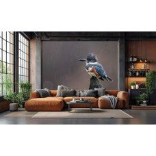 Fotobehang ijsvogel in de regen in een moderne woonkamer met rustige natuurtinten.
