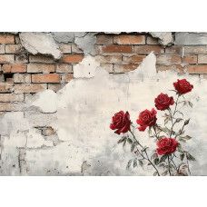 Fotobehang met romantische rozen tegen een industriële muur van verweerd beton en steenstructuur.