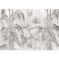 Fotobehang, Jungle Beton Zwart Wit Planten