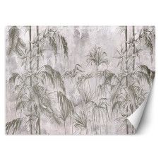 Fotobehang, Jungle Beton Zwart Wit Planten