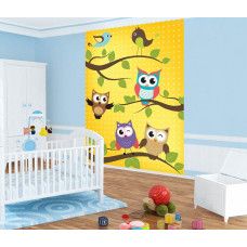 Een fotobehang met uiltjes en vogels voor de kinderkamer.