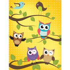 Fotobehang voor kinderkamers met uiltjes en vogels, kleurrijk en speels.