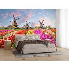 Fotobehang met kleurrijke tulpen en windmolens bij de Zaanse Schans in een moderne slaapkamer.