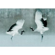 Fotobehang, Kraanvogels als geschilderd