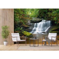 Een fotobehang van een krachtige waterval in het bos voor de woonkamer.