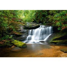 Een fotobehang van een krachtige waterval in het bos.
