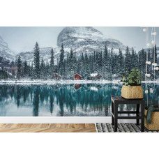 Een sfeervol beeld van het prachtige Lake O'Hara, perfect voor een kantooromgeving.