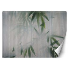 Fotobehang, Loofgroen Mist Natuur