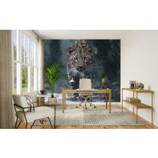 Fotobehang luipaard in het regenwoud zichtbaar in een modern kantoor, met natuurlijke kleuren die kracht en elegantie combineren.