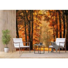 Een fotobehang van een magisch pad door het herfstbos in een bedrijfsruimte.